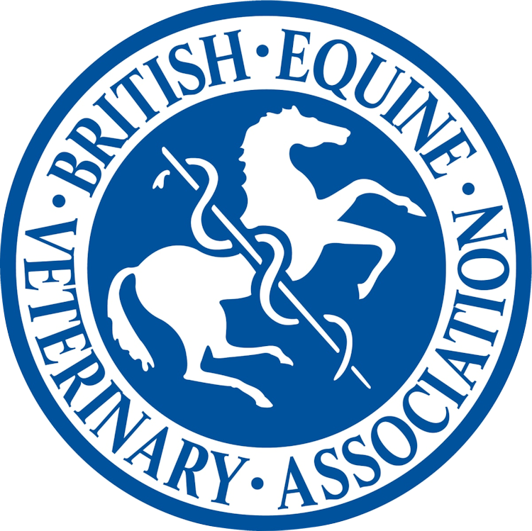 Equine Dentist Professional Equestrian Dentistry in Essex and Suffolk and East Anglia
